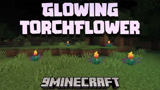 Glowing Torchflower Mod (26.2, 1.20.1) – Illuminating The Blooms