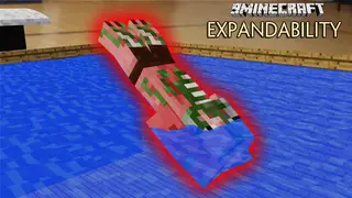 ExpandAbility Mod (26.1.2, 1.20.1) – Library for Control Over Vanilla Abilities