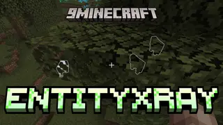 EntityXray Mod (26.2, 1.21.1) – See Through Walls All Mobs And Players