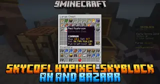 SkyCofl Hypixel Skyblock AH And Bazaar Mod (26.2, 1.21.11) – Market Data Utility For SkyBlock