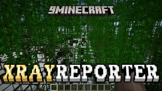 Xrayreporter Mod (1.20.1) – Detects X-ray Texture Packs