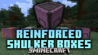 Reinforced Shulker Boxes Mod (1.21.11, 1.20.1) – Supercharges Your Portable Storage