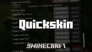 Quickskin Mod (1.21.11, 1.20.1) – Toggle Skin Settings Using Keybinds