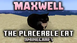 Maxwell The Placeable Cat Mod (26.2, 1.20.1) – Maxwell Cat And His Friends
