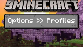 Options Profiles Mod (1.21.11, 1.20.1) – Load and Save Your Options from In-game