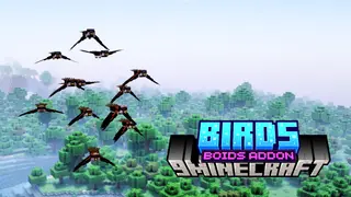 Birds: Boids Addon Mod (26.1.2, 1.20.1) – New Bird Species