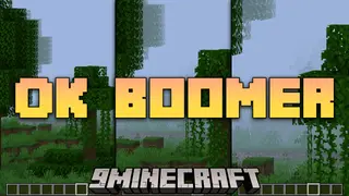 Ok Boomer Mod (1.21.11, 1.20.1) – Zooming Into Adventure