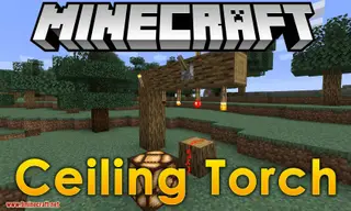 Ceiling Torch Mod (26.2, 1.20.1) – Makes Torches Placeable on The Upside Down