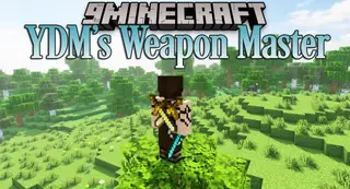 YDM's Weapon Master Mod (26.2, 1.20.1) – Back Weapons