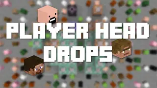 Players Drop Heads Mod (26.2, 1.20.1) – Players Drop Their Heads on Death