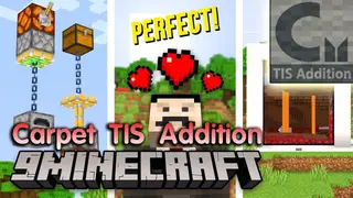 Carpet TIS Addition Mod (26.2, 1.20.1) – Useful Tools and Interesting Features