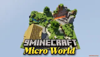 Micro World Map (26.2, 1.20.1) – The Forest