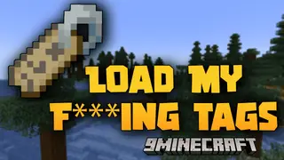 LMFT Mod (1.21.11, 1.20.1) – Load My F***ing Tags