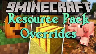 Resource Pack Overrides Mod (26.2, 1.20.1) – Set Your Modpack's Style