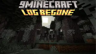 Log Begone Mod (1.21.11, 1.20.1) – Remove Annoying Logs