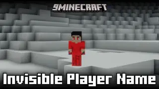 Invisible Player Name Mod (26.2, 1.21.1) – Makes All Player Names Invisible