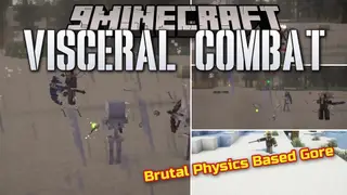 Visceral Combat Mod (1.21.11, 1.20.1) – Feel the Real Weight Behind Every Sword