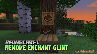 Remove Enchant Glint Resource Pack (1.21.11, 1.21.1) – True Vanilla Colors