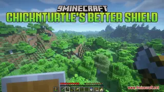 ChicknTurtle’s Better Shield Resource Pack (26.2, 1.20.1) – Block Without