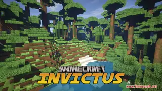 Invictus Resource Pack (1.16.5, 1.12.2) – Texture Pack