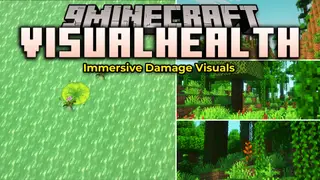 Visualhealth Mod (26.2, 1.20.1) – Track Enemy Health with Visible Battle Scars