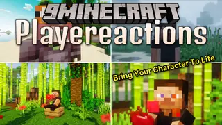 Playereactions Mod (26.2, 1.21.1) – Bring Your Character to Life