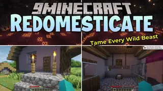 Redomesticate Mod (1.21.1) – Command Your Pets and Protect Them in Battle