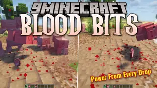 Blood Bits Mod (1.21.8, 1.20.1) – Feel the Impact of Every Strike in Combat