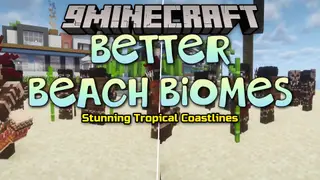 Better Beach Biomes Mod (1.20.1) – Turn Empty Beaches Into Dangerous Tropics