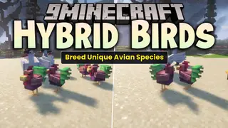 Hybrid Birds Mod (1.21.11, 1.20.1) – Farm Wild Birds and Cook Massive Meat