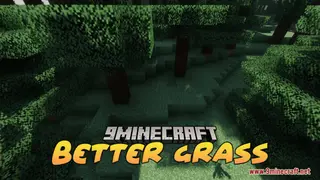 Better Grass Resource Pack (26.2, 1.20.1) – Texture Pack
