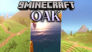 Oak Shaders (26.2, 1.20.1) – Soft Lighting and Realistic Water Effects