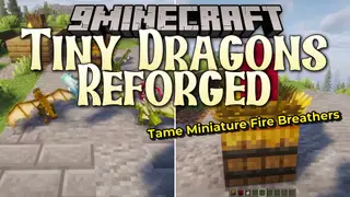 Tiny Dragons Reforged Mod (1.21.1, 1.20.1) – Hatch and Command Fire-Breathing