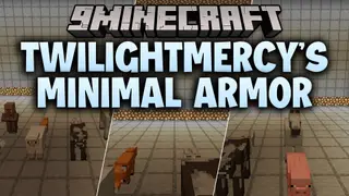 TwilightMercy's Minimal Armor Resource Pack (26.2, 1.20.1)