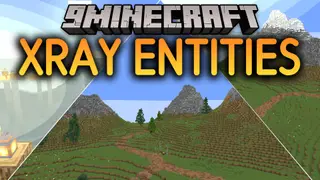 Xray Entities Shaders (26.2, 1.20.1) – Reveal Mobs Through Solid Blocks