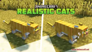 Realistic Cats Resource Pack (26.2, 1.20.1) – Texture Pack