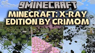 Minecraft X-Ray Edition by Crimom Resource Pack (26.2, 1.21.11)