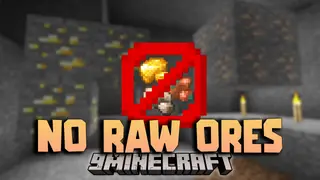 No Raw Ore Data Pack (1.21.11, 1.21.1) – A Blast from the Past