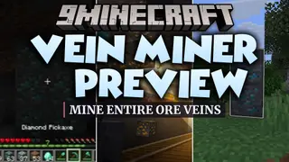 Vein Miner & Preview Data Pack (1.21.11, 1.20.1) – Mine Entire Ore Veins