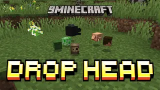 Drop Head Data Pack (26.2, 1.20.1) – Drop Player Head