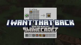 I Want That Back Data Pack (1.21.11, 1.20.1) – Get Something Back from Minecarts