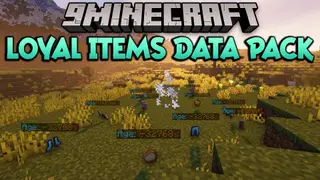 Loyal Items Data Pack (1.21.11, 1.20.1) – Your Items Will Never Despawn