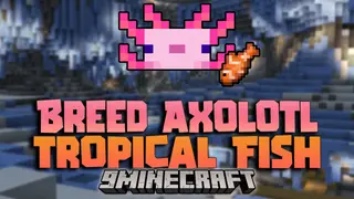 Breed Axolotl With Tropical Fish Item Data Pack (1.21.11, 1.20.1) – Convenient Breeding