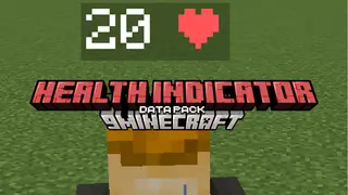 Health Indicator Data Pack (1.21.10, 1.20.1) – Simple But Helpful Display