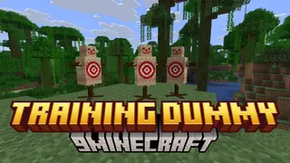 Training Dummy Data Pack (1.21.8, 1.21.7) – Damage Test In Minecraft