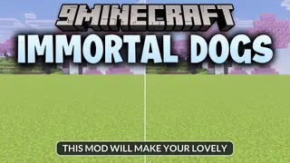 Immortal Dogs Addon (26.x) – Make Your Tamed Wolves Invincible to All Damage
