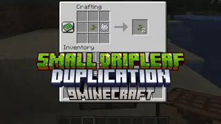 Small Dripleaf Duplication Data Pack (1.21.5, 1.20.1) – Easily Grow More Small Dripleaves