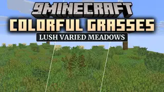 Colorful Grasses 9minecraft Resource Pack (26.2) – Lush Foliage Across Wild Meadows
