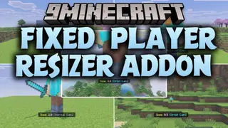 FIXED Player Resizer Addon (26.x) – Shrink or Grow to Any Size