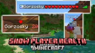 Show Player Health Data Pack (1.21.1, 1.20.1) – Real-Time Player HP Display